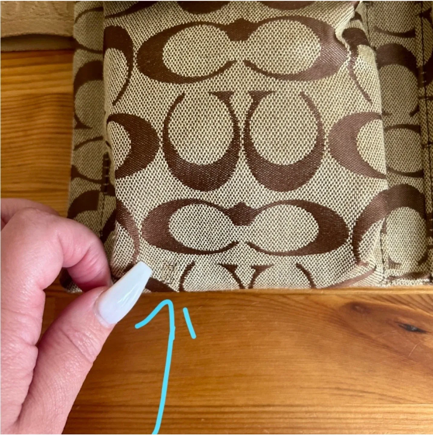 💯AUTHENTIC COACH BUMBAG/CROSSBODY image indicator(10)