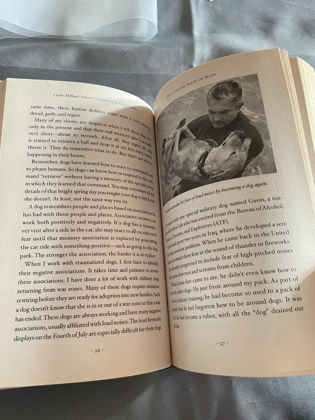 Cesar Millan's Short Guide to a Happy Dog image indicator(3)