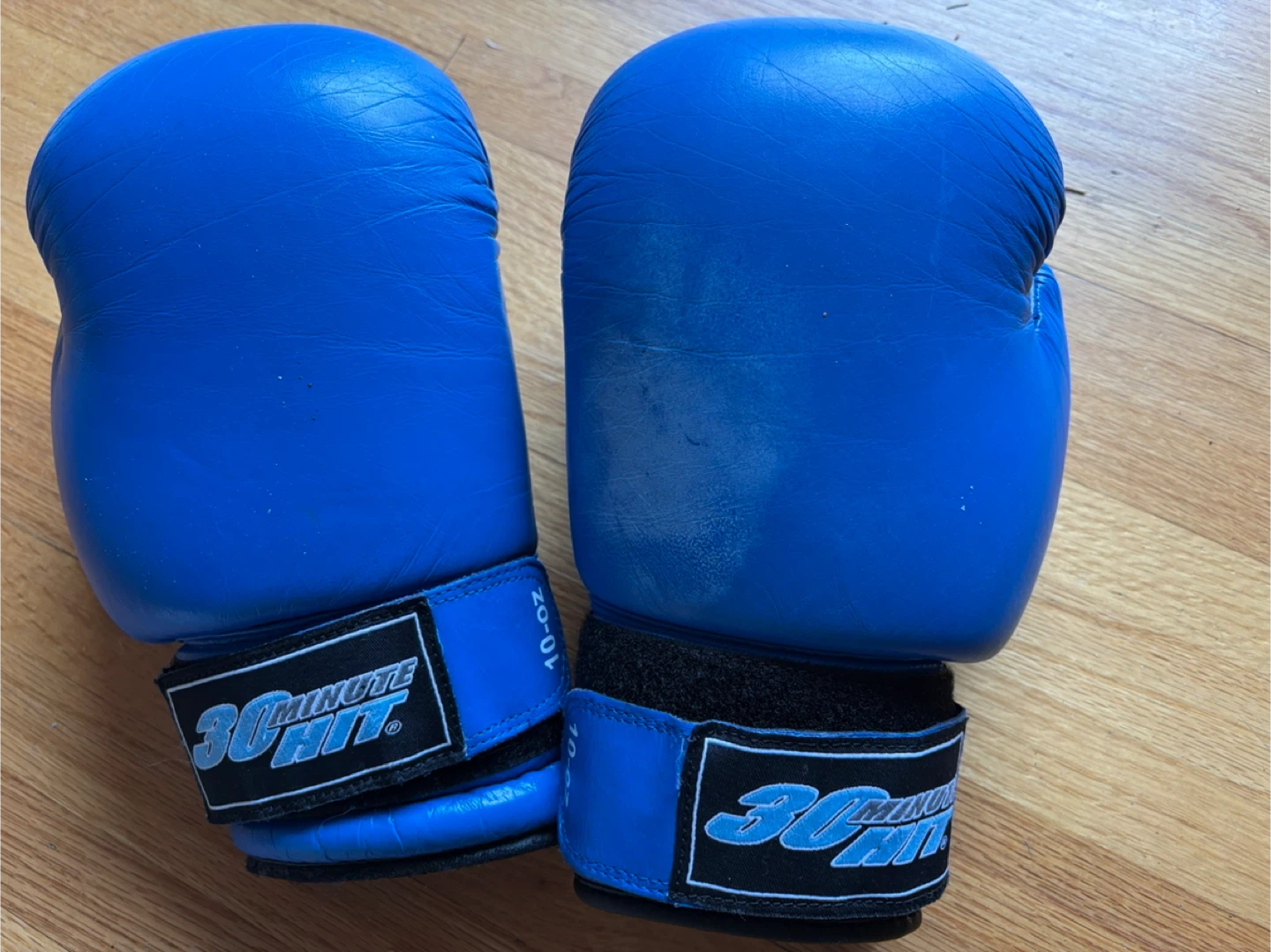 30 Minute Hit Boxing Gloves, 10 oz, Blue - photo 5