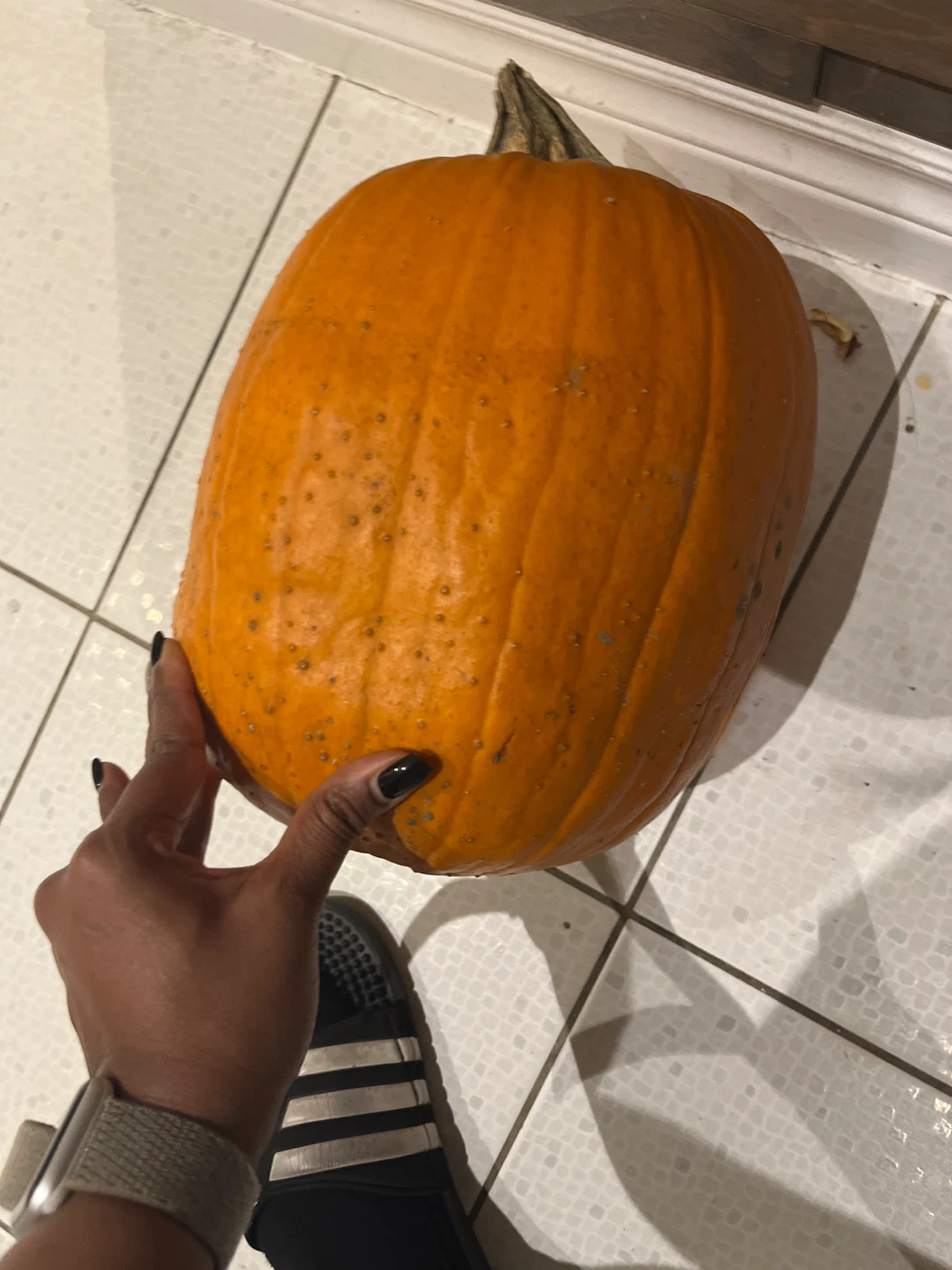 Pumpkin