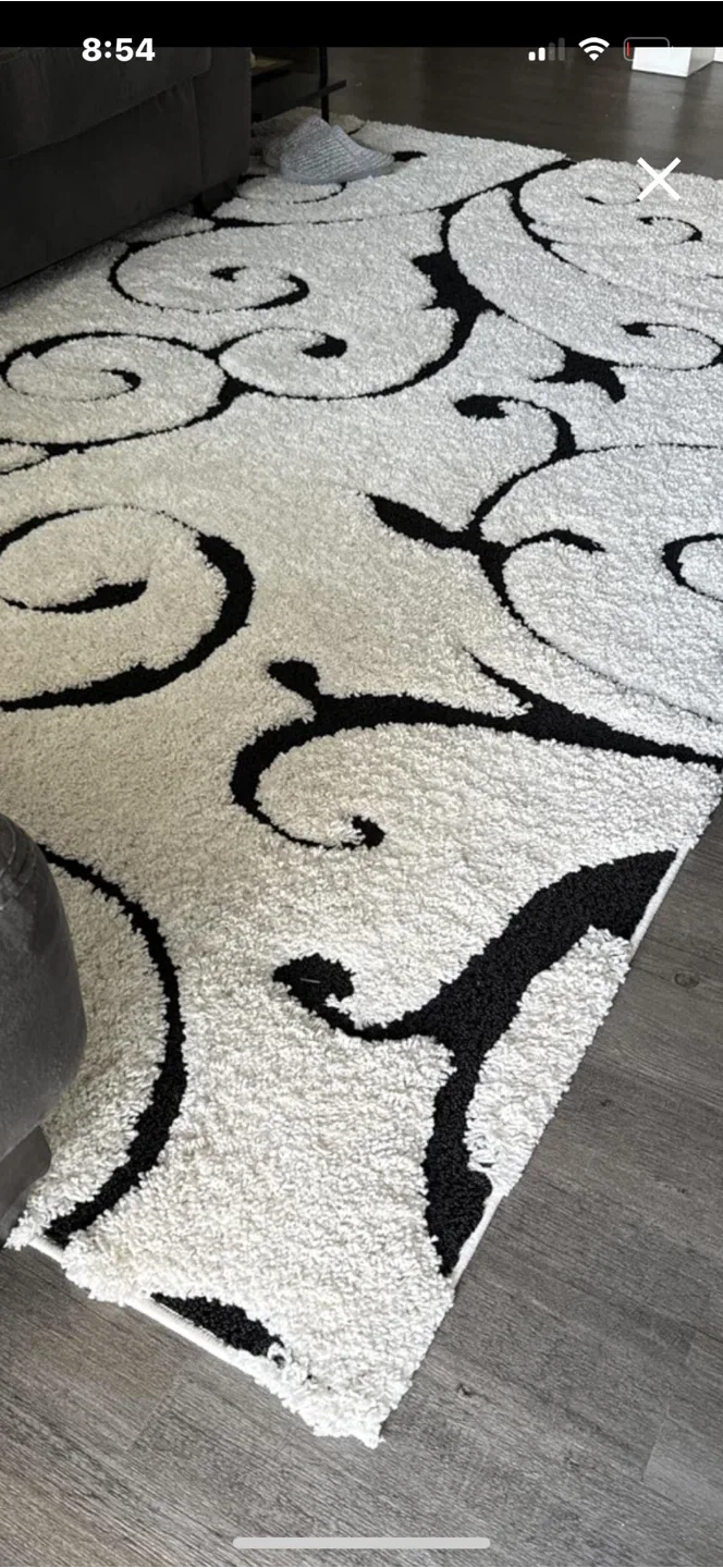 Ivory & Black Shag Area Rug thumbnail