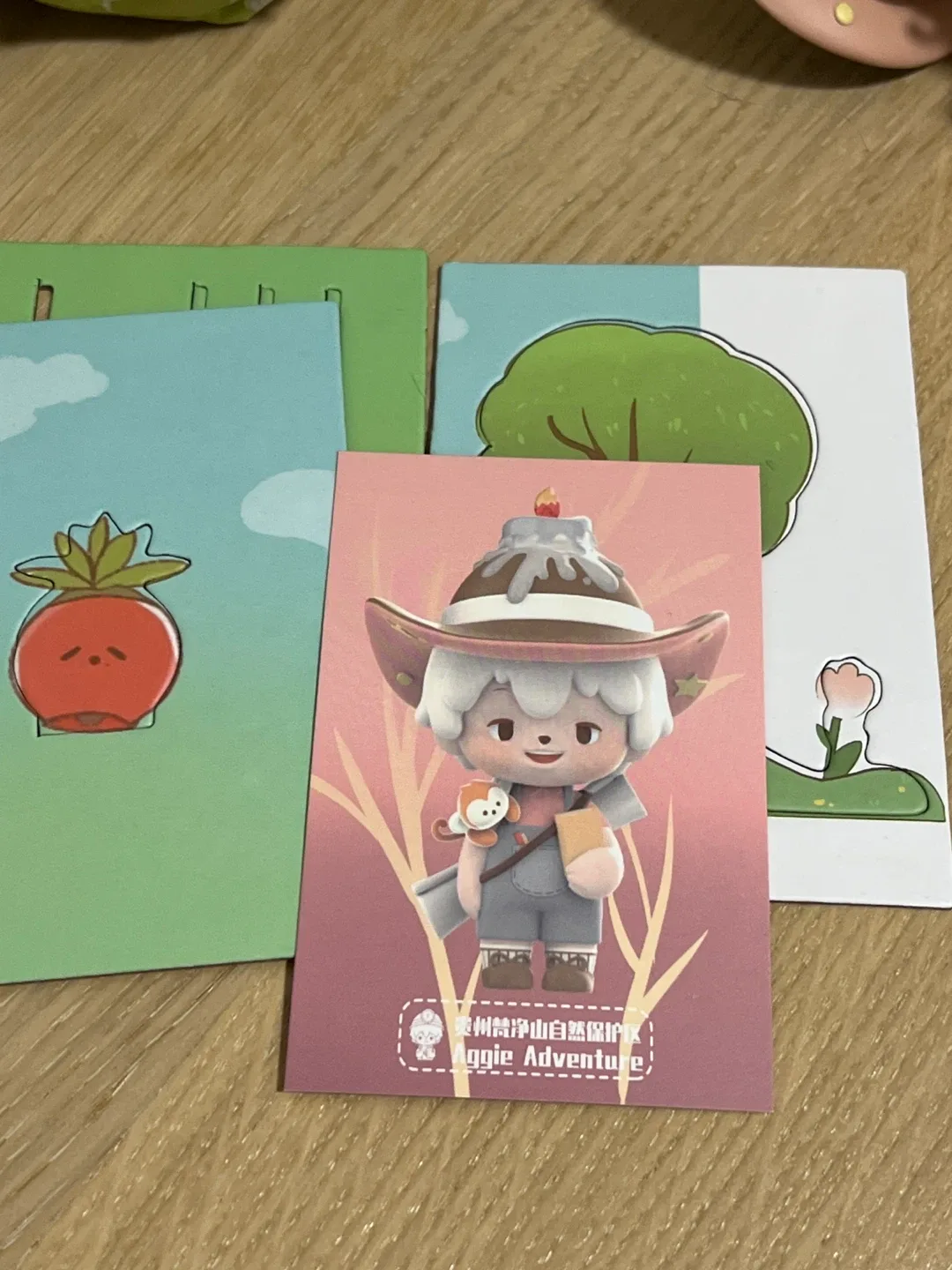 Aggie Adventure Figure image indicator(3)