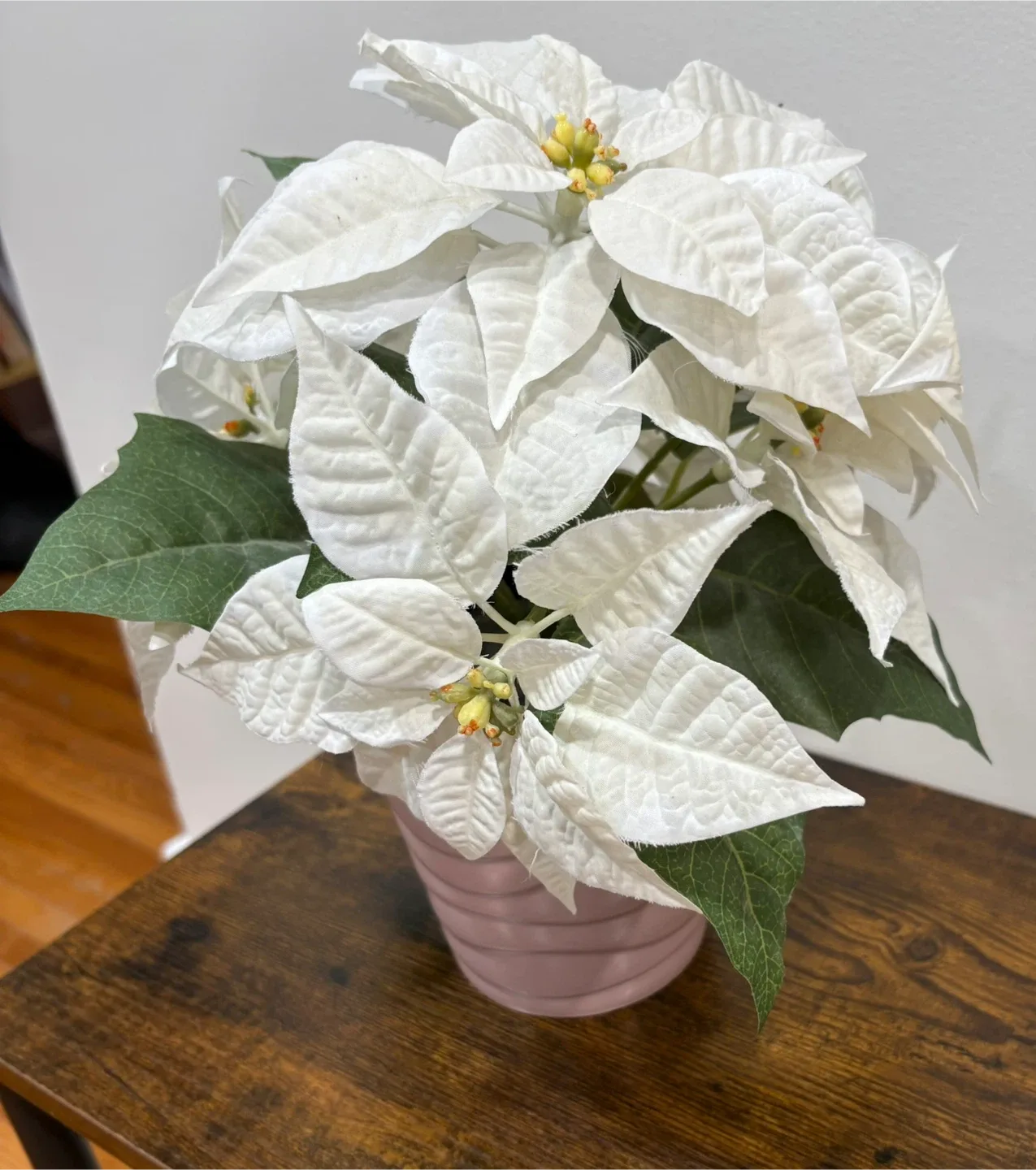 Christmas White Poinsettia in Pink Pot image indicator(5)