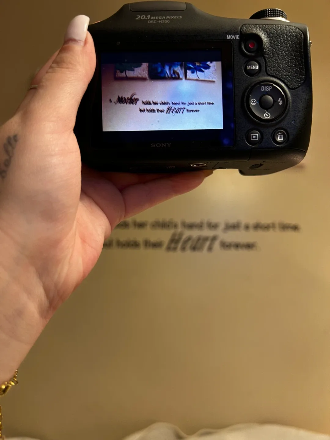 Sony Cyber-shot DSC-H300 Digital Camera image indicator(3)