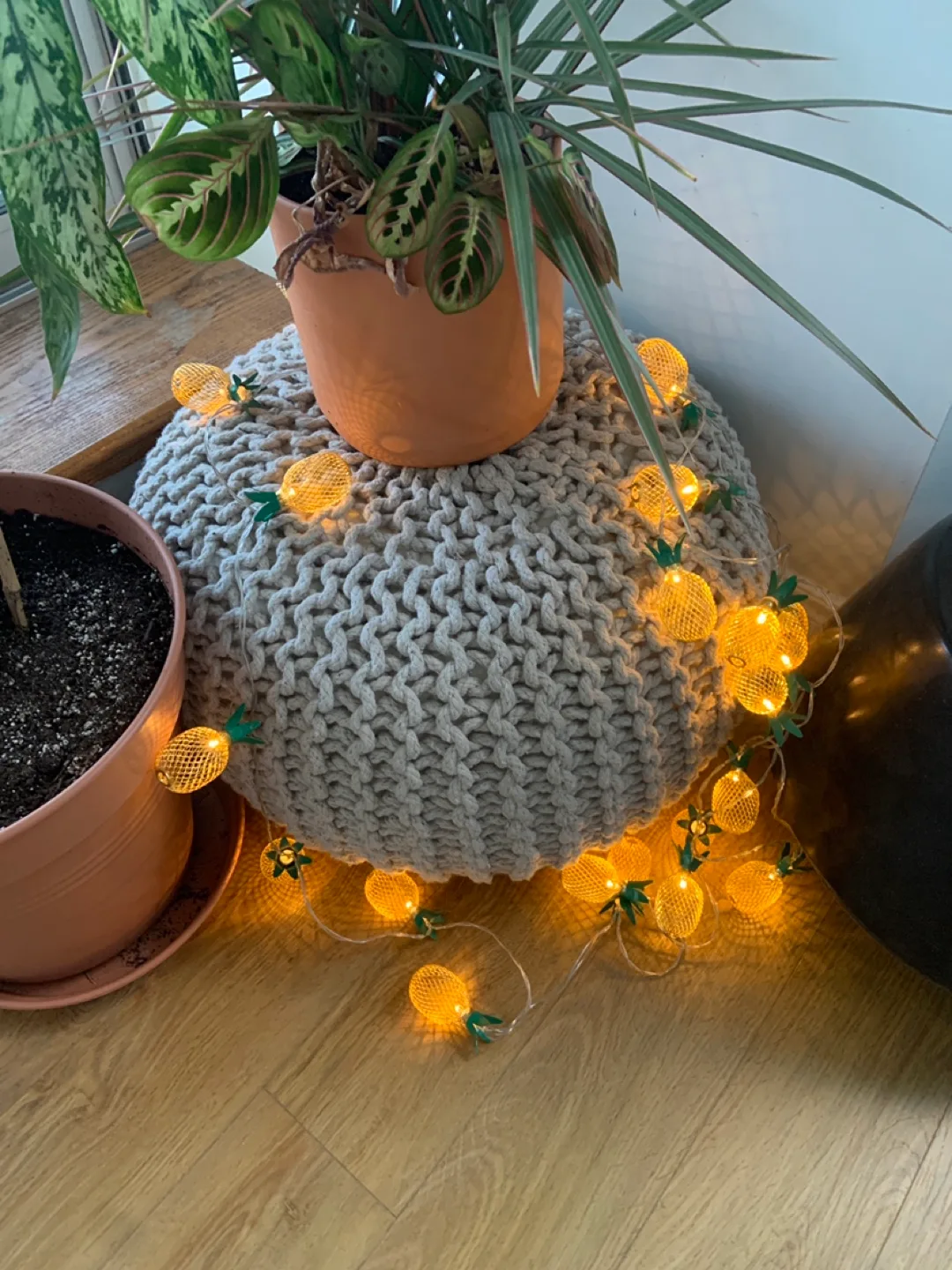 Pineapple decorating lights image indicator(3)