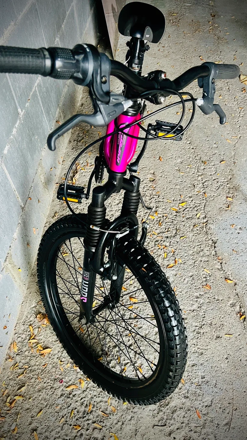 Hyper Bear Mountain Bicycles 20" Swift Youth Bike image indicator(4)