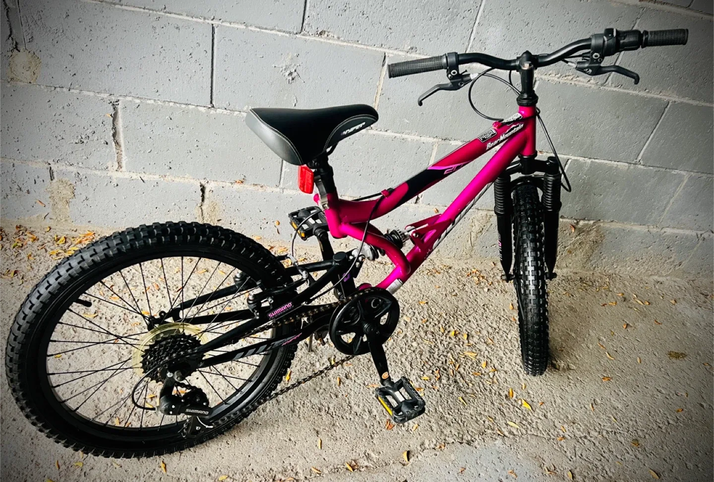 Hyper Bear Mountain Bicycles 20" Swift Youth Bike image indicator(5)