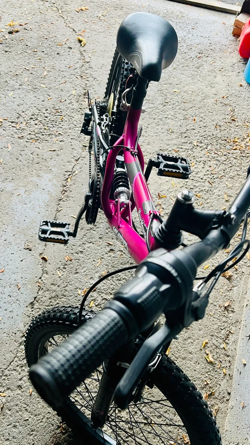 Hyper Bear Mountain Bicycles 20" Swift Youth Bike image indicator(7)