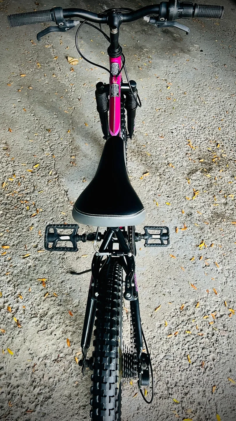 Hyper Bear Mountain Bicycles 20" Swift Youth Bike image indicator(10)