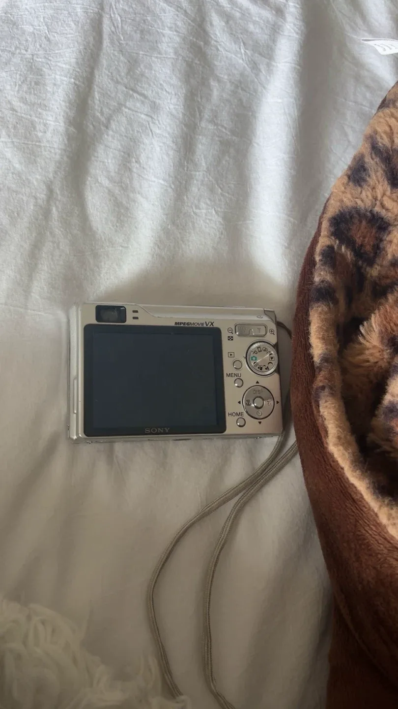 Sony Cyber-shot DSC-W80 Digital Camera image indicator(3)