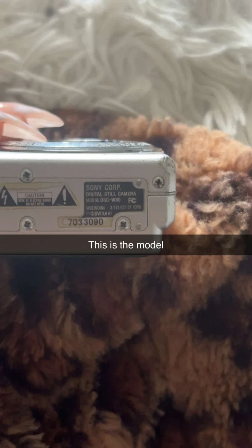 Sony Cyber-shot DSC-W80 Digital Camera image indicator(4)