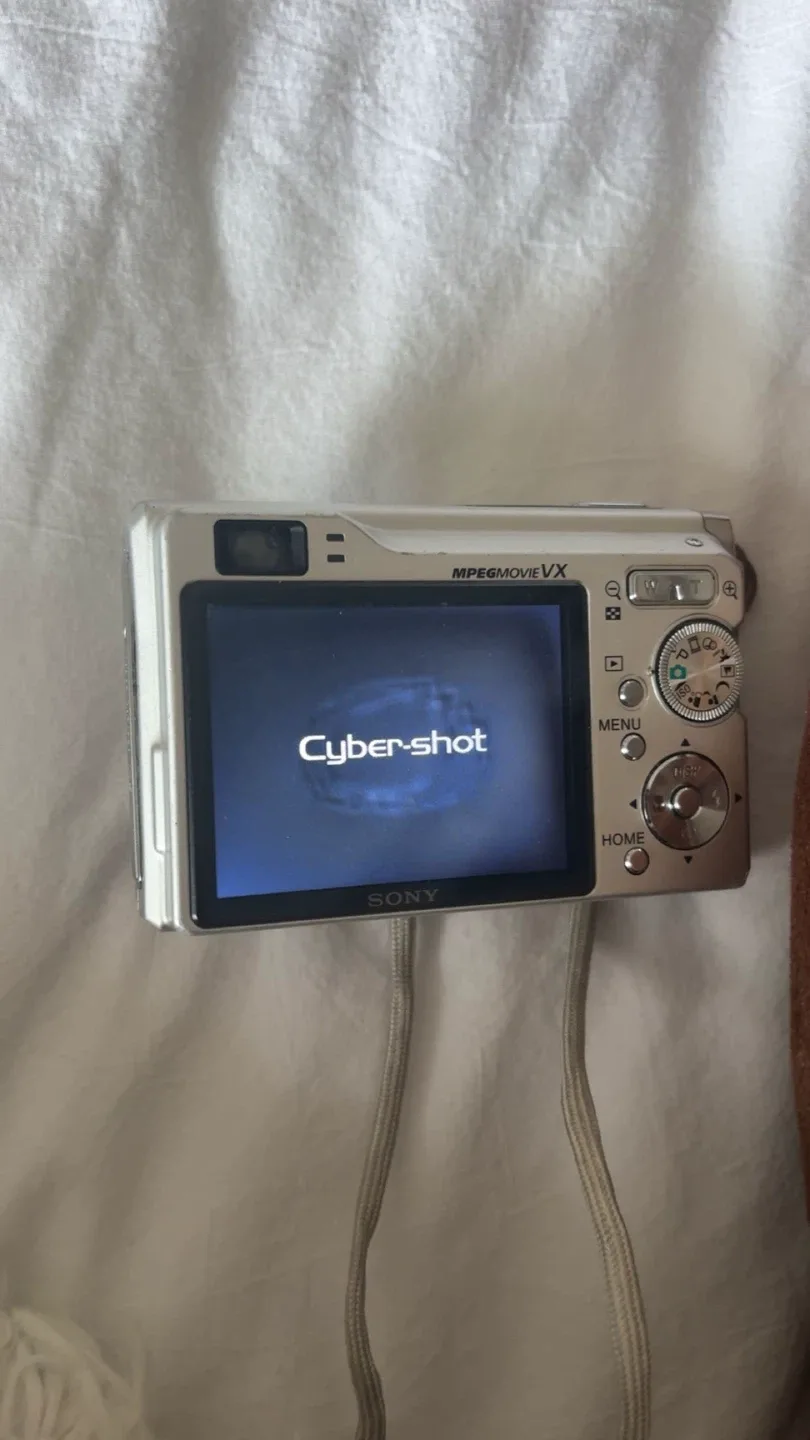 Sony Cyber-shot DSC-W80 Digital Camera image indicator(2)