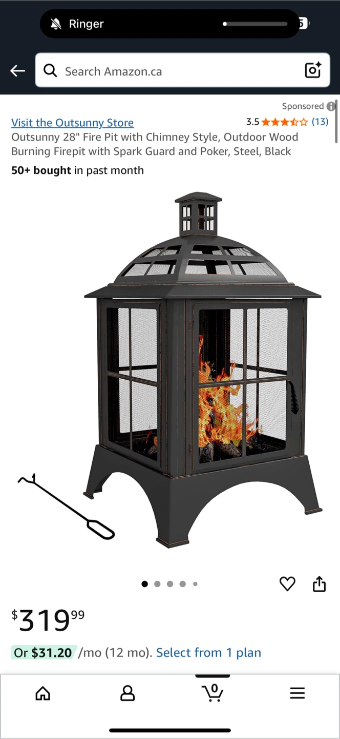 Outdoor Backyard, 2 Large Fire Pits - photo 3