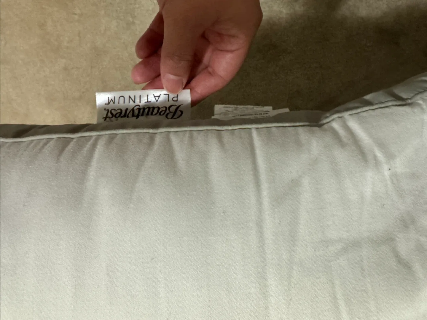 Beautyrest Platinum Pillows - Set of 2 image indicator(2)