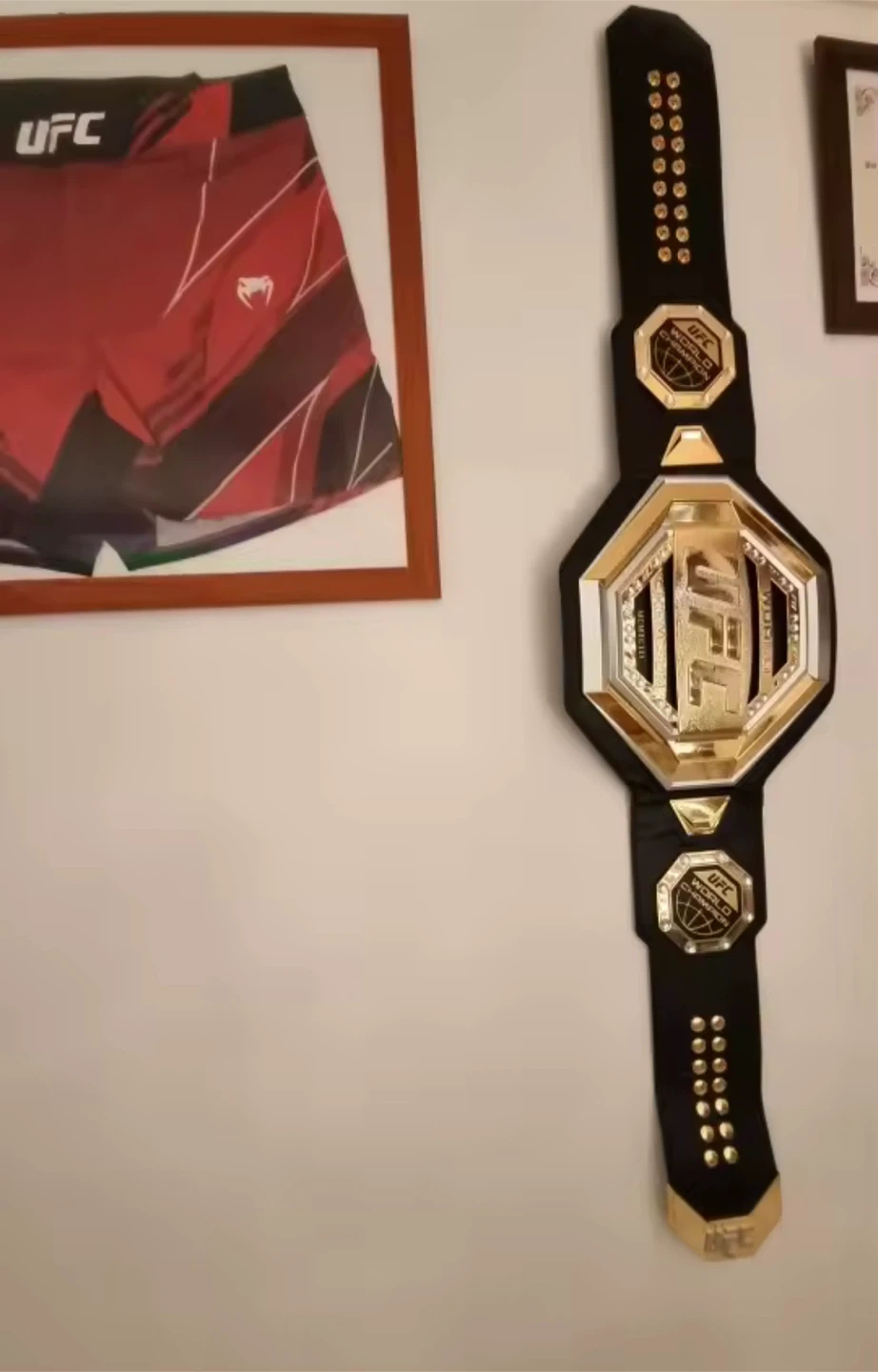 UFC World Champion Belt - photo 4