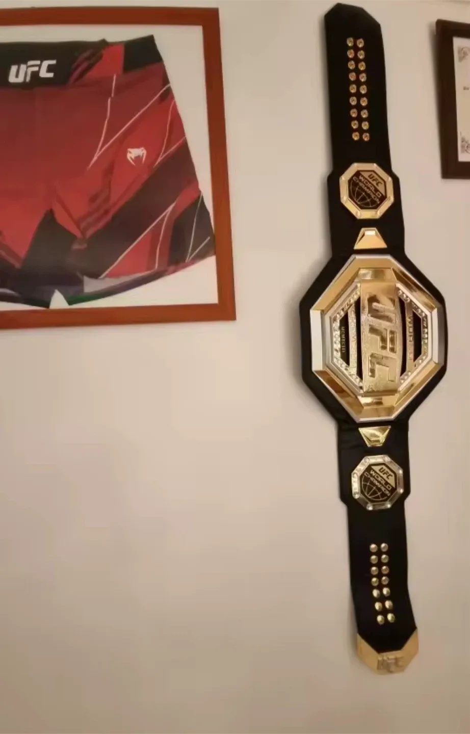 UFC World Champion Belt image indicator(4)