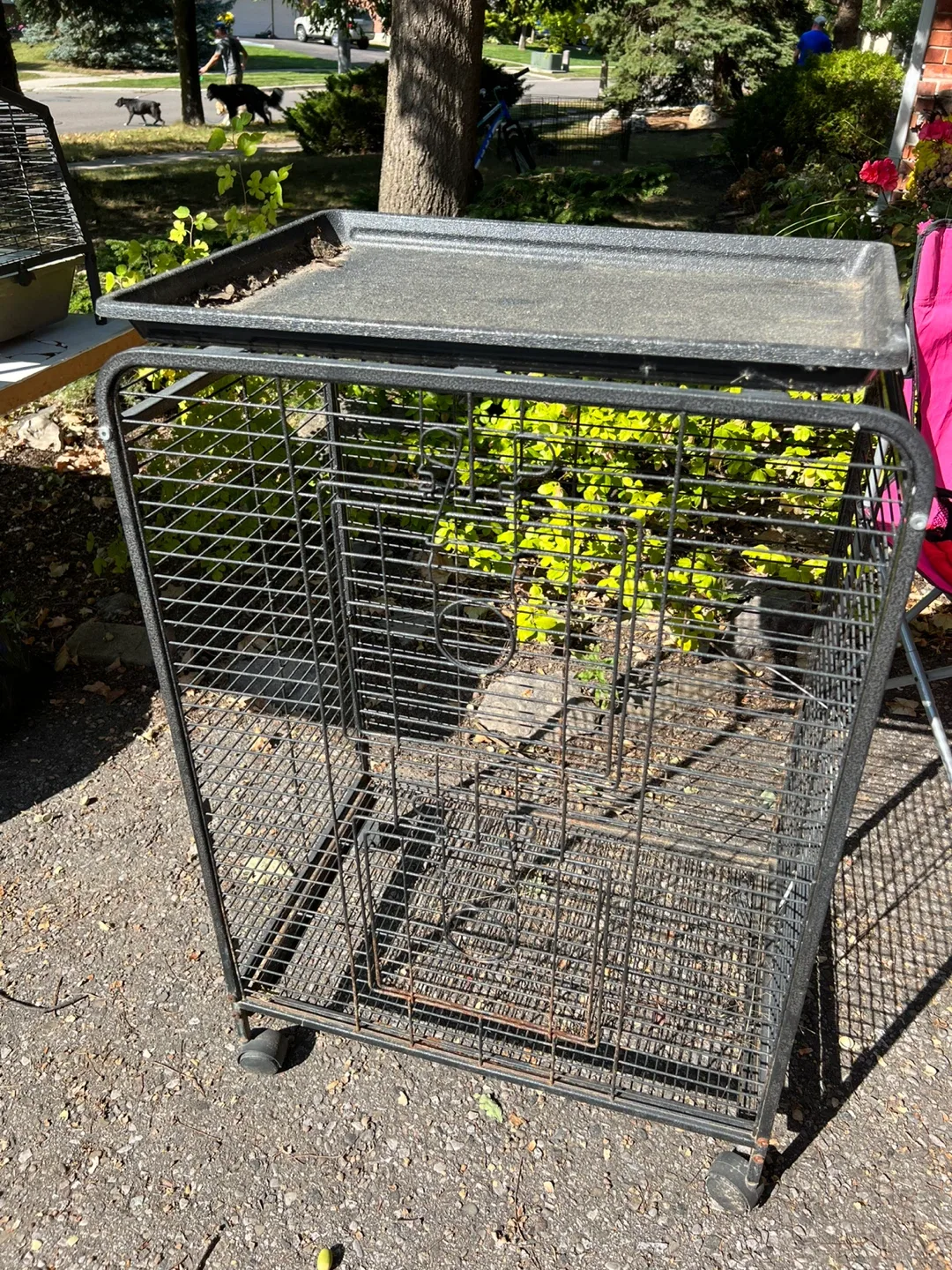 Animal Crate with Wheels & Tray