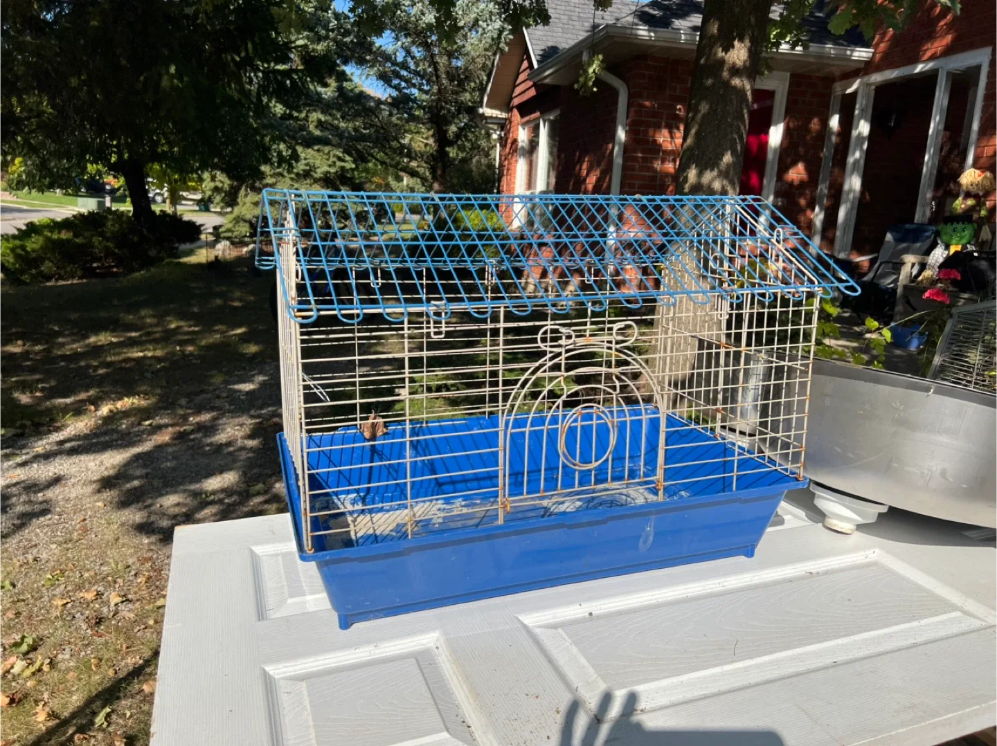 Blue & White Small Animal Cage