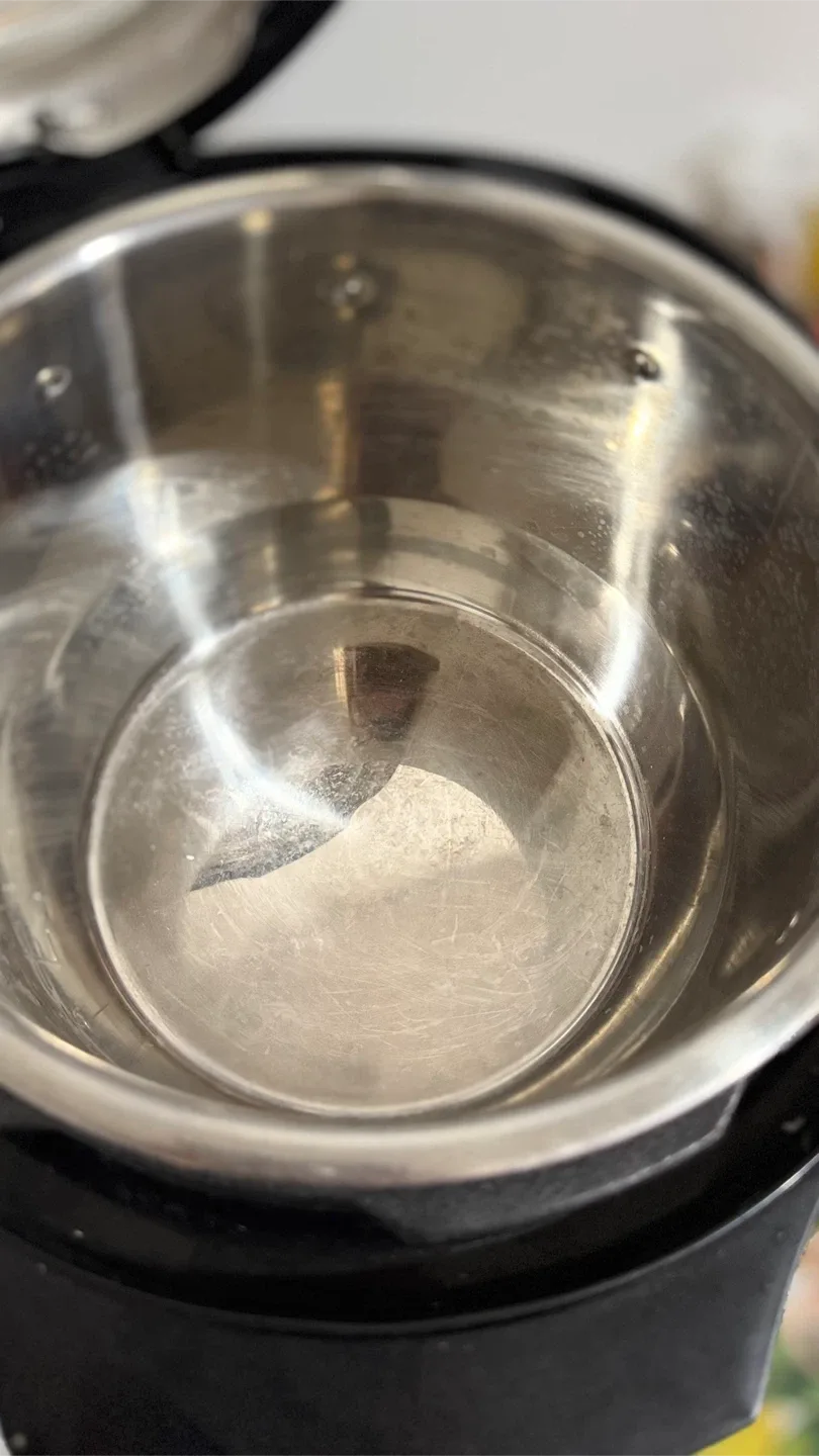 Whale Elec. Pressure Cooker image indicator(3)