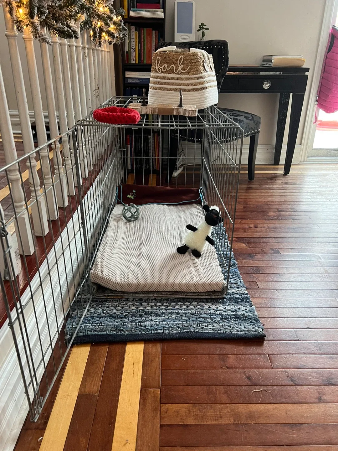 Dog Crate