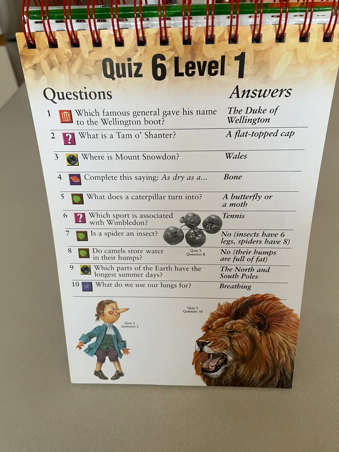 Children’s Flip Quiz Book image indicator(4)