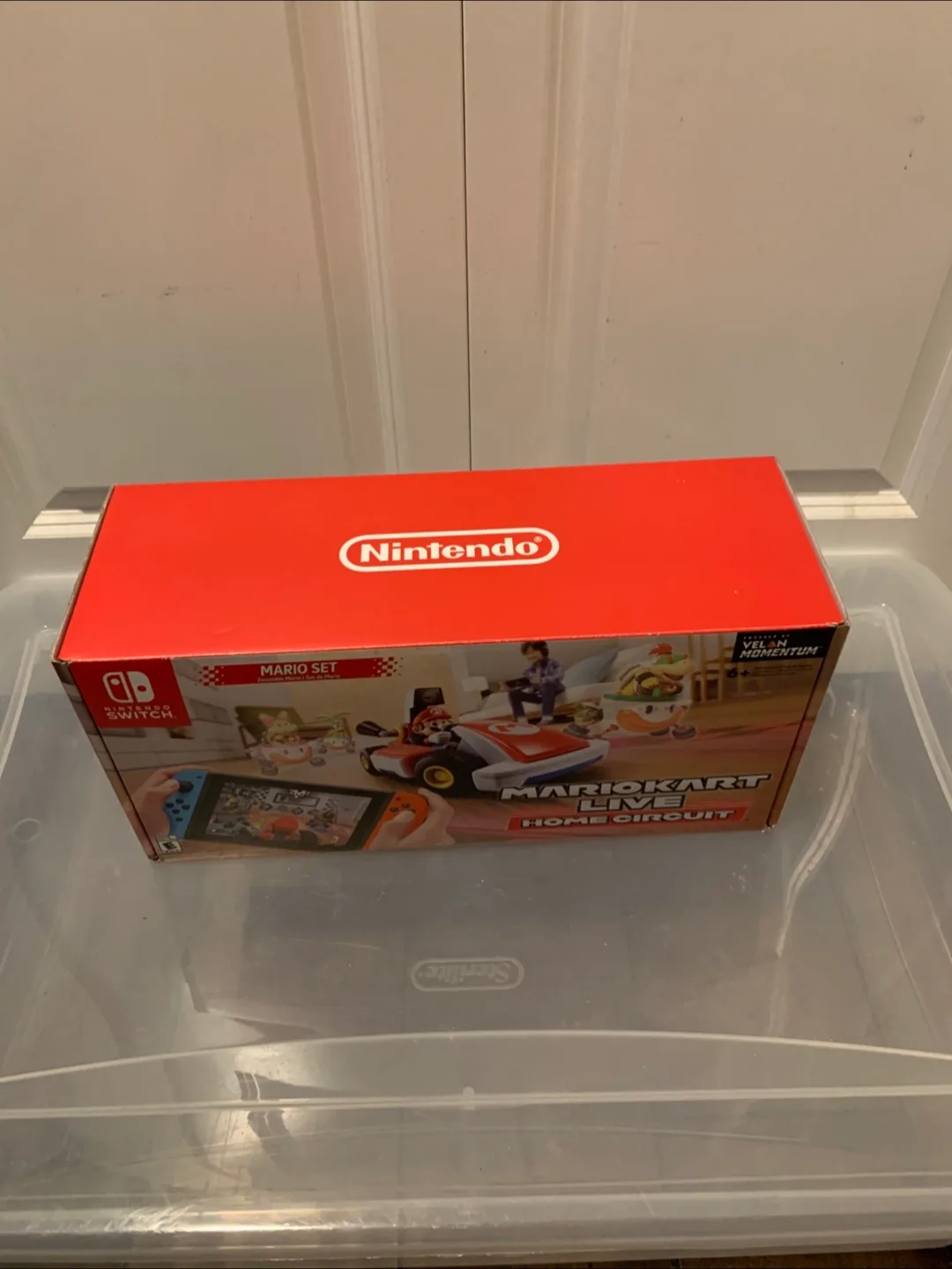 Nintendo Switch Mario Kart Live: Home Circuit image indicator(5)