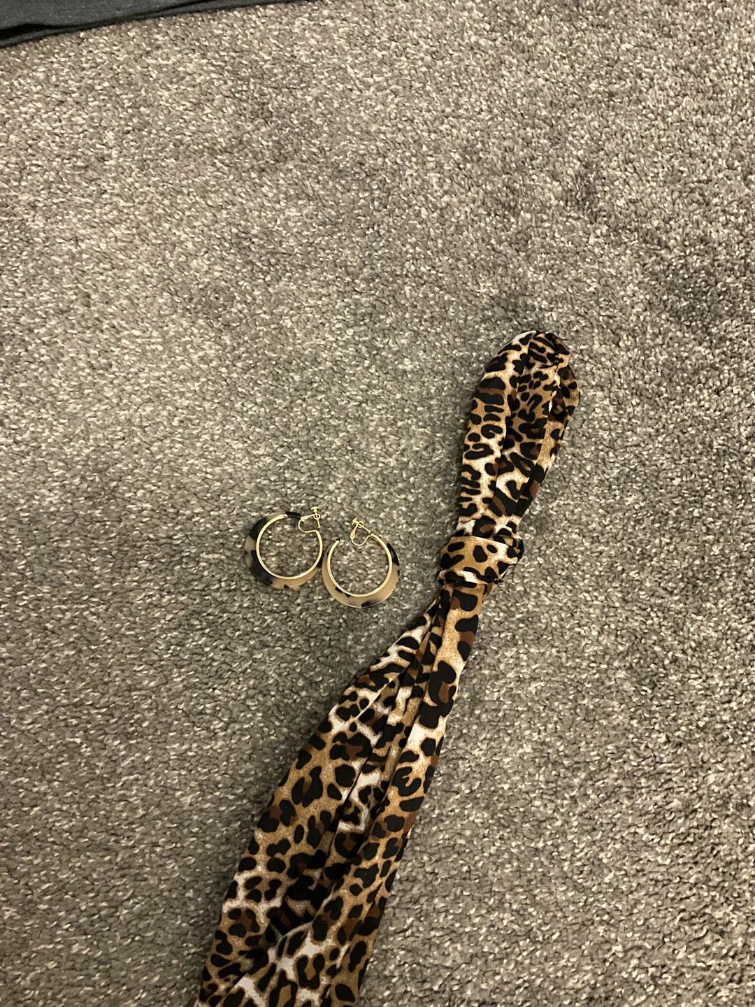 Leopard Print Hoop Earrings image indicator(2)