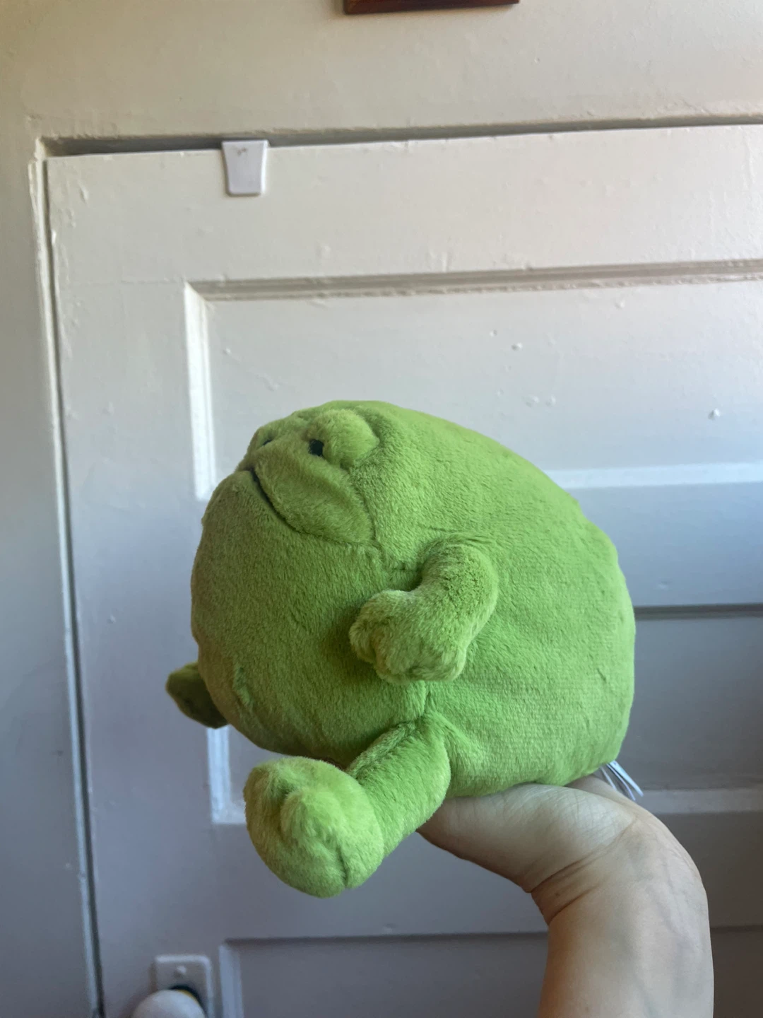 Jellycat Ricky Rain Frog - photo 2