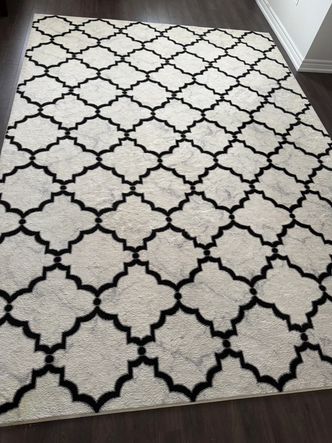 Neil Ivory/Black Rug 240x330 cm