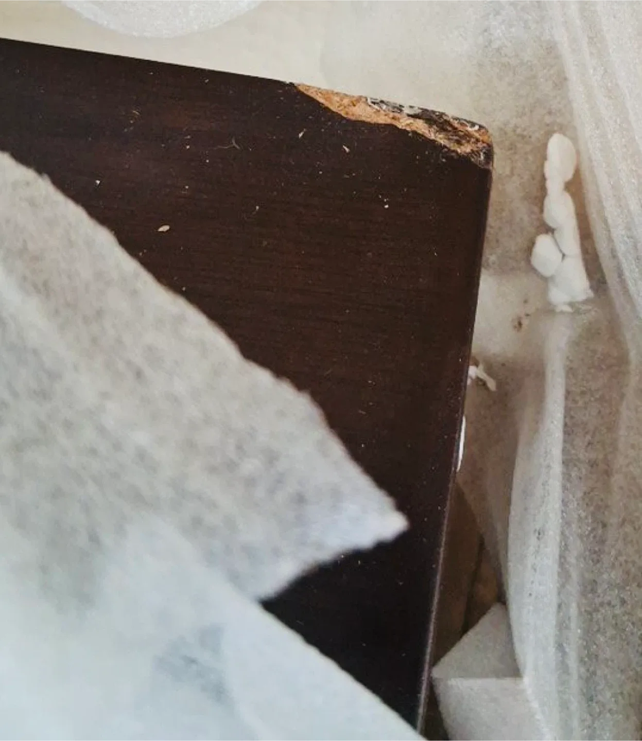 60-Inch Dark Brown Dining Table image indicator(4)