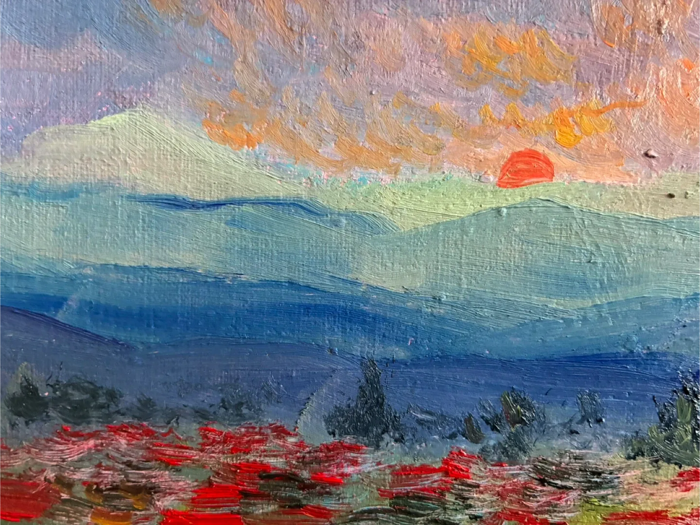 Poppy Fields - 9x12” oil paint on canvas paper image indicator(5)