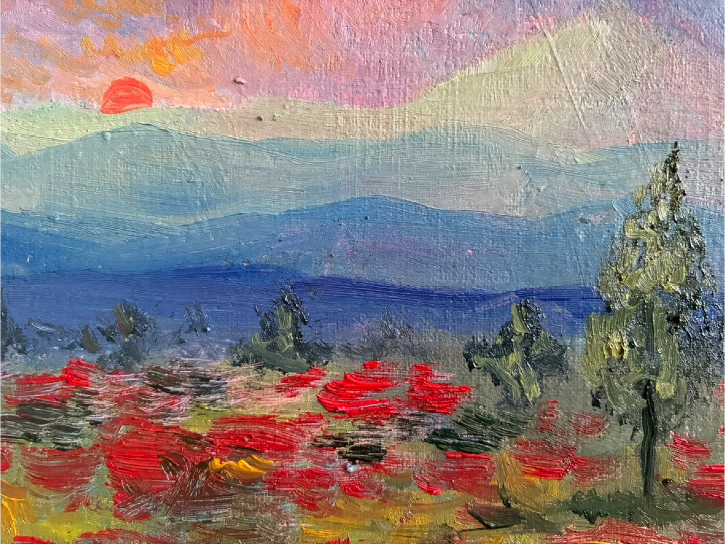 Poppy Fields - 9x12” oil paint on canvas paper image indicator(4)