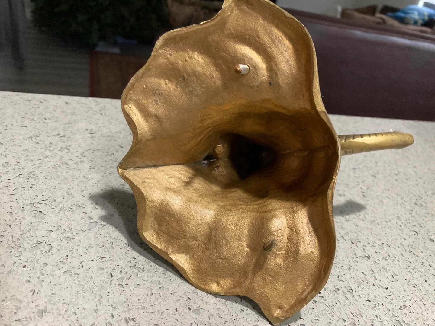Elephant Head Hook, Brass Finish image indicator(4)