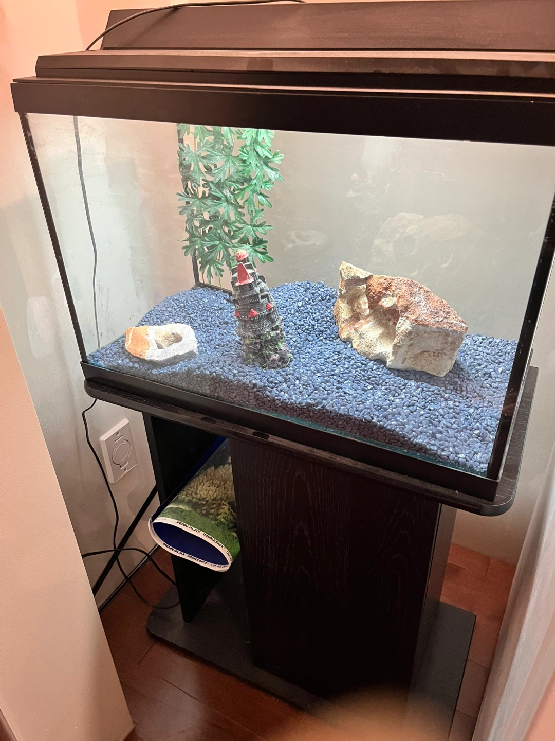 20 gallon Fish Tank with Stand & Accessories
