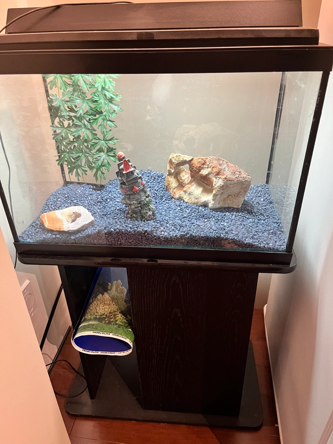 20 gallon Fish Tank with Stand & Accessories - photo 2