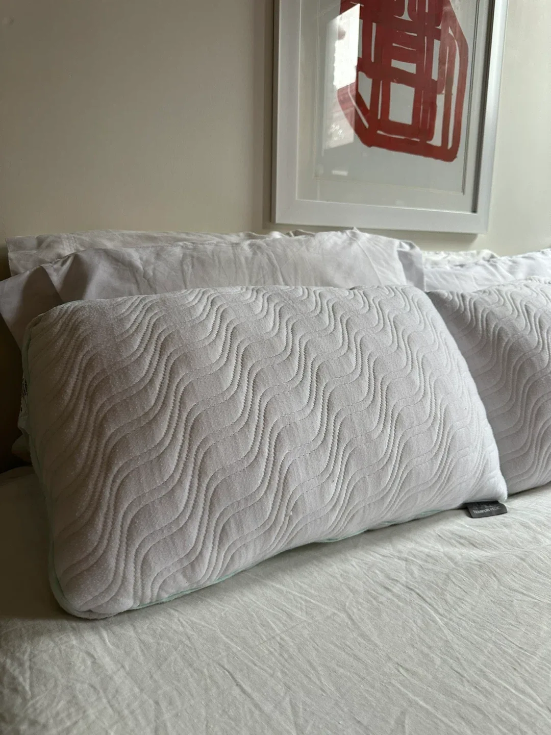 Tempur-Pedic Pillows image indicator(2)