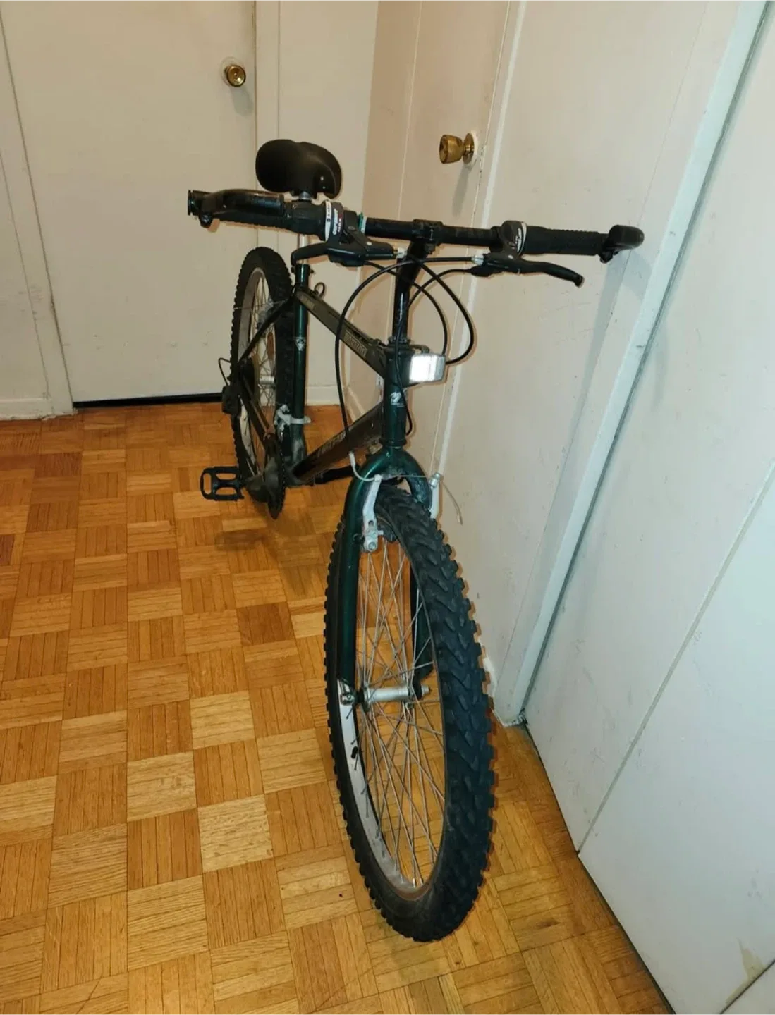 Arashi Horizon Mountain Bike image indicator(4)