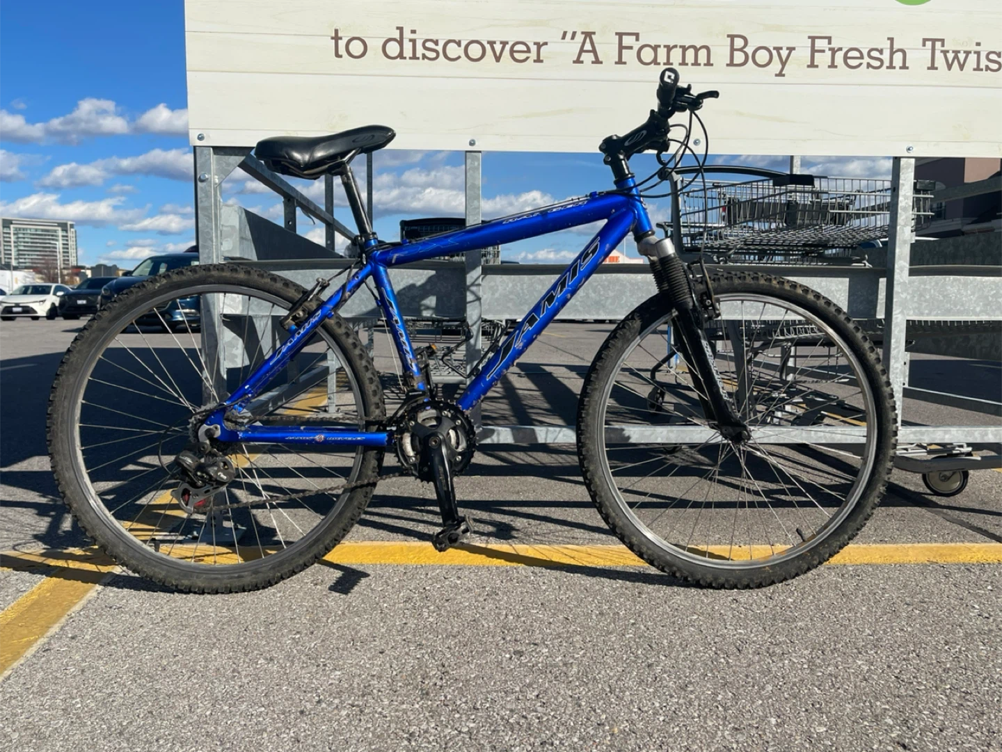 Loomis Blue Mountain Bike Bicycle Frame Jamis Ranger Mountain