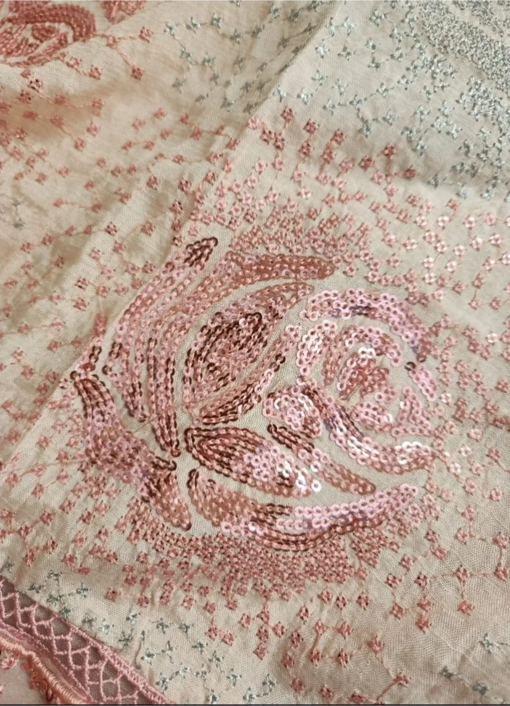 3 Pcs Peach Sequence work Pakistani Suit image indicator(5)