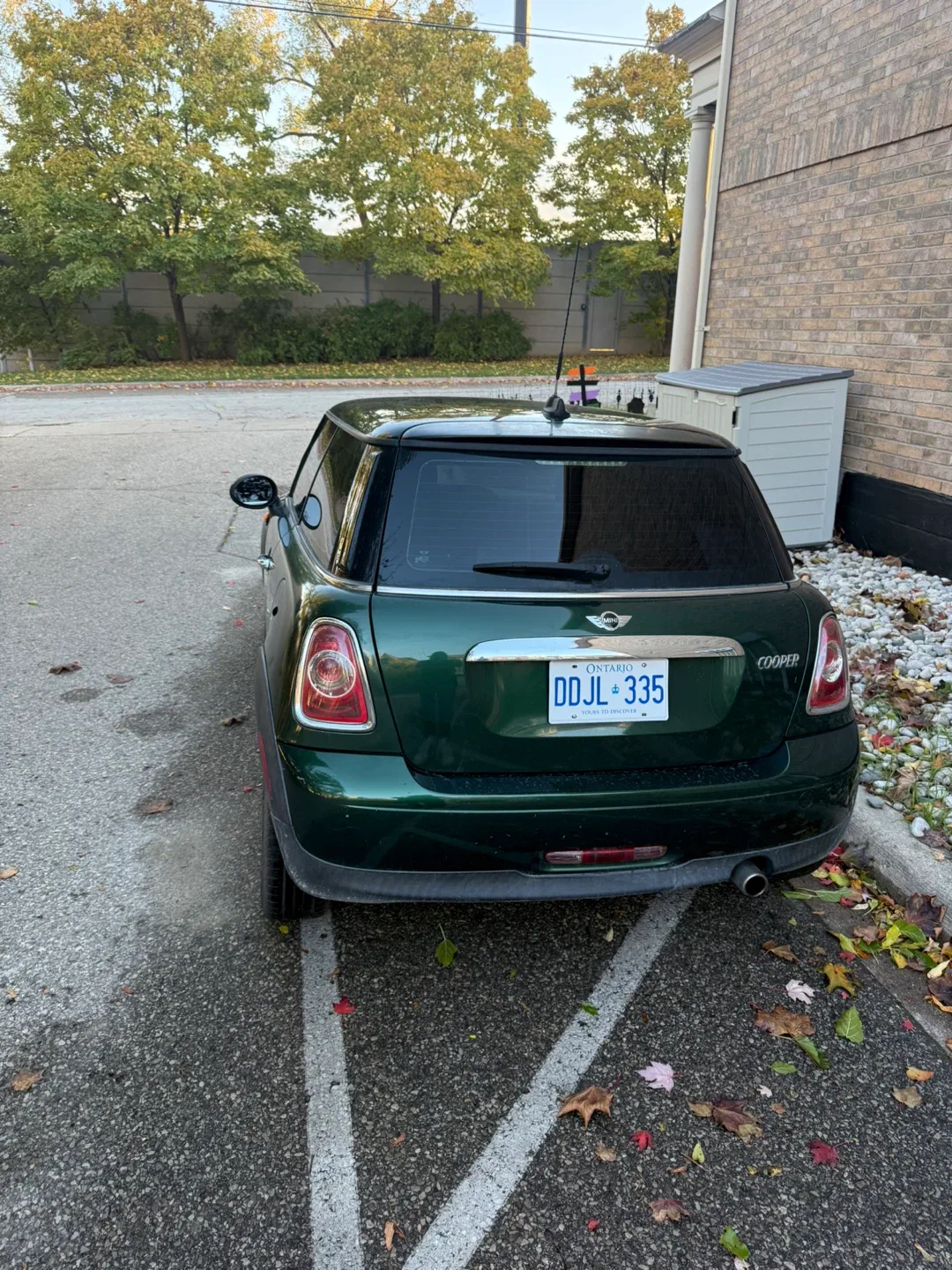 Mini Cooper image indicator(2)