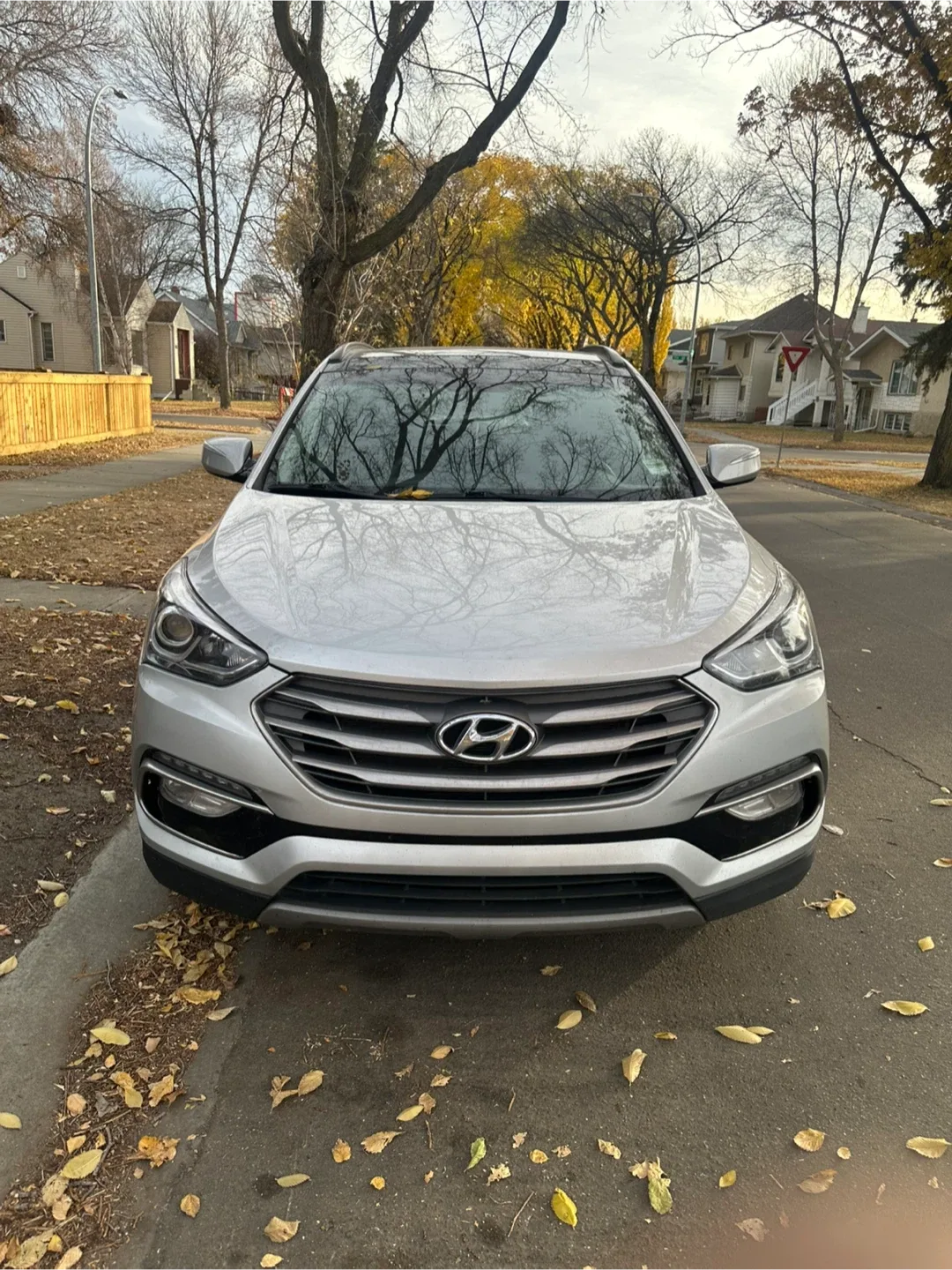 Hyundai Santa Fe - Silver SUV