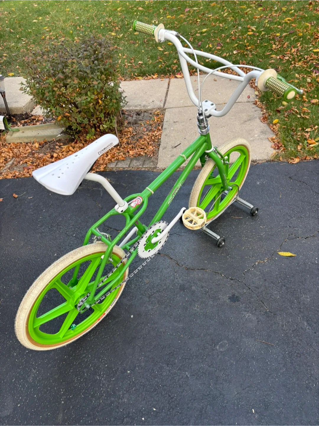 Skyway Street Beat BMX Bike - Green & White image indicator(10)