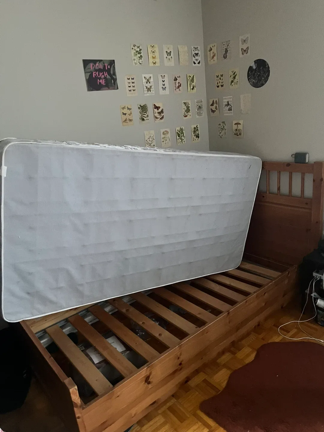 IKEA Twin Bed Frame (with Bed Box if needed) image indicator(3)