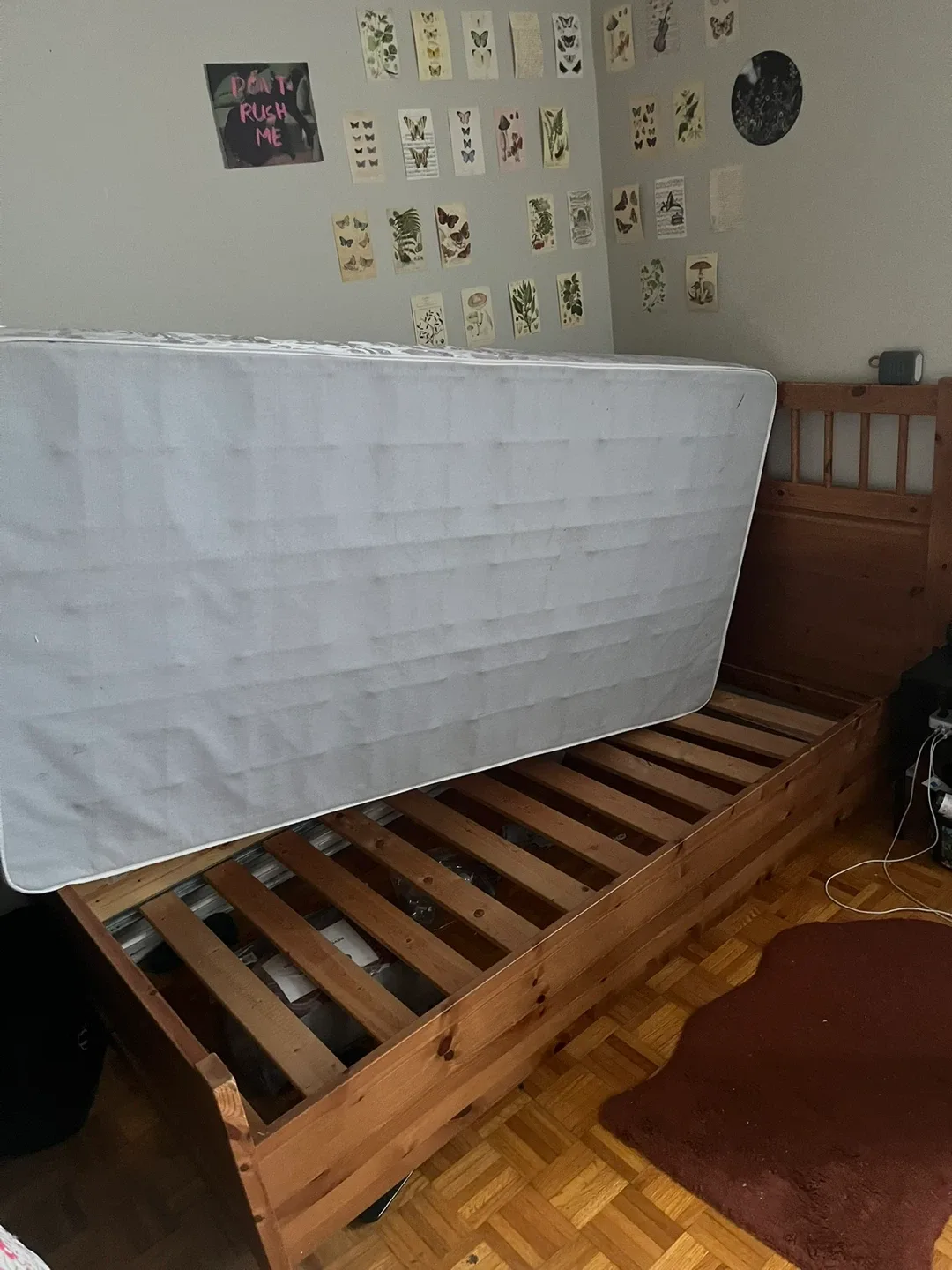 IKEA Twin Bed Frame (with Bed Box if needed) image indicator(4)