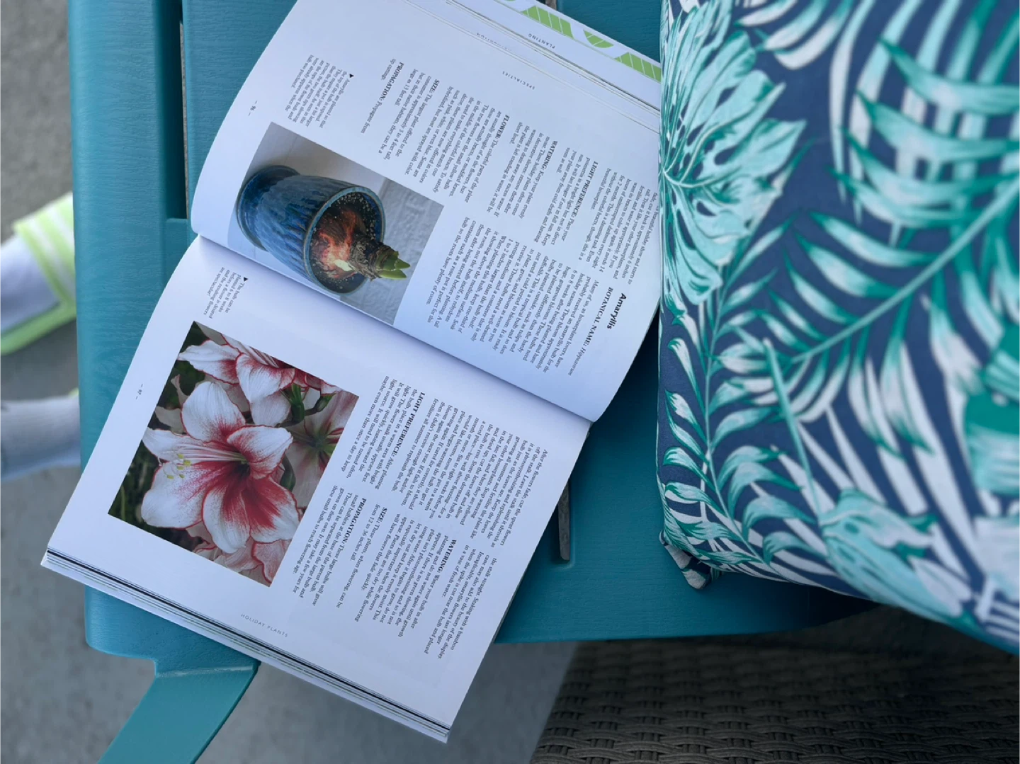 House Plants: The Complete Guide Coffee Table Book - photo 3