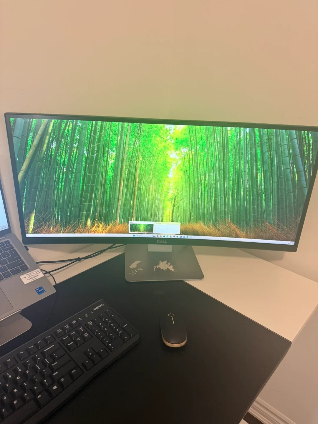 Dell Monitor image indicator(2)