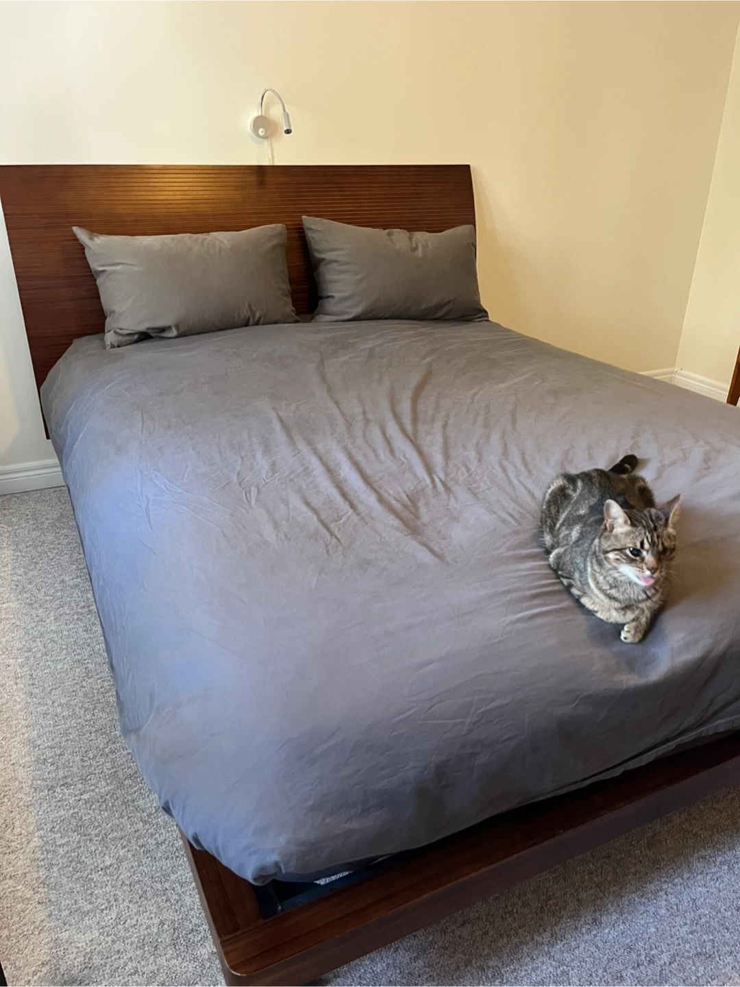 FREE - Mid-century modern style queen-size platform bed frame