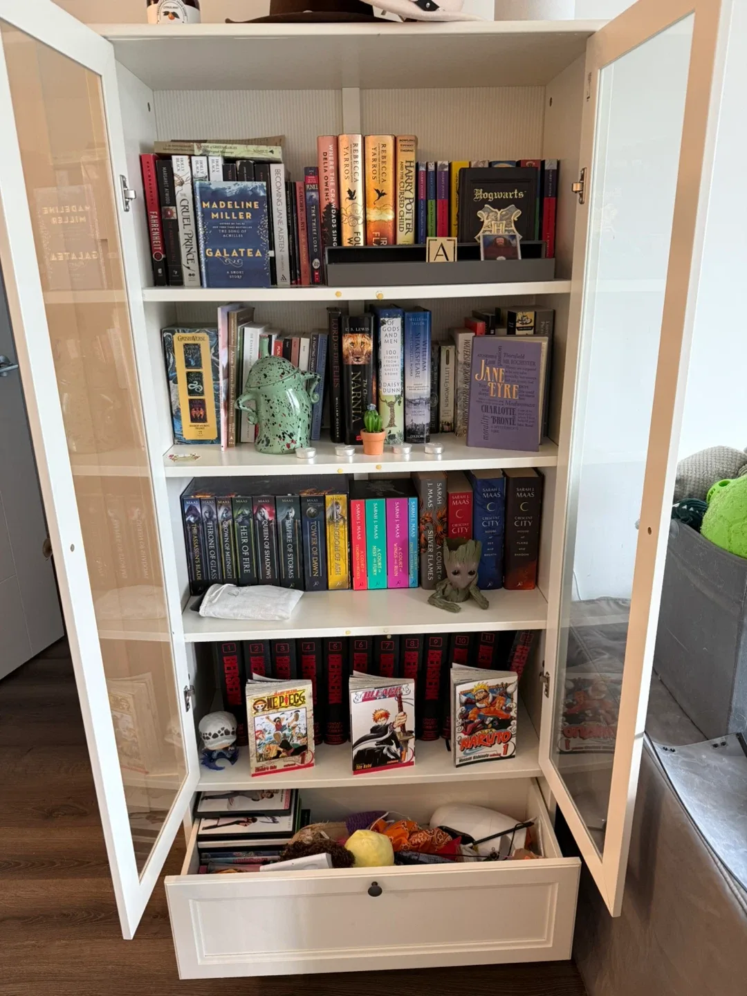 IKEA Bookcase with Glass Doors