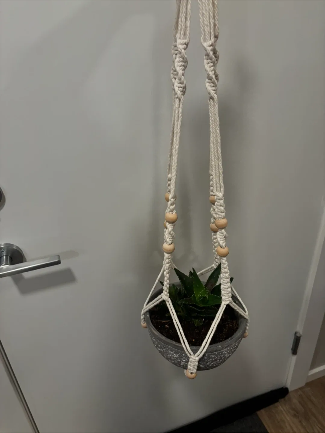 Plant hangers