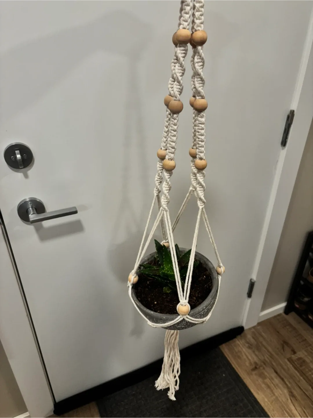 Plant hangers image indicator(2)